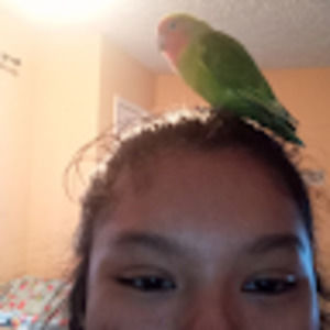 Meet your Posher, Perla